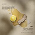 thumbnail image 4 of Ginger Lime Body Cleanser | Aromatic Body Wash to Hydrate & Balance Skin | Alternative to Regular Soap | Fresh & Citrus Aroma | Vegan, Cruelty & Paraben-Free | 500 ml, 4 of 6