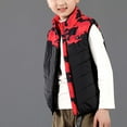 thumbnail image 5 of Hpgjzj Kids Heated Vest Boys Girls Lightweight USB Electric Heating Waistcoat Down Jacket Camouflage Vest Winter Coats 2024, 5 of 7
