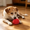 thumbnail image 4 of Cinvoph 2 Pack Dog Chew Toys, Hedgehog Latex Squeaky Ball, Durable Bite Resistant Puppy Teething Toys, Dental Cleaning Boredom Relief 2.5"x4", 4 of 7