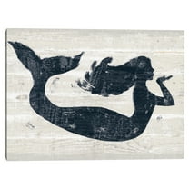 Driftwood Coast IX Blue by Sue Schlabach Canvas Art Print