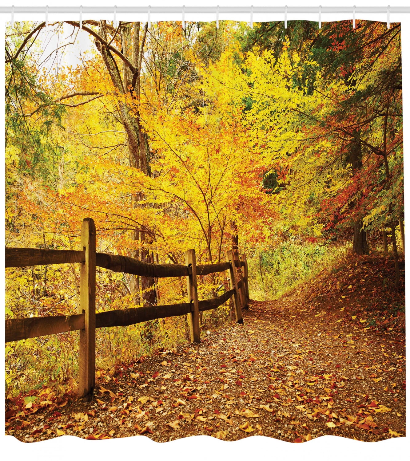 100 Digital Photos of Trees Forest Leafs Nature Landscape Fall Winter Autumn