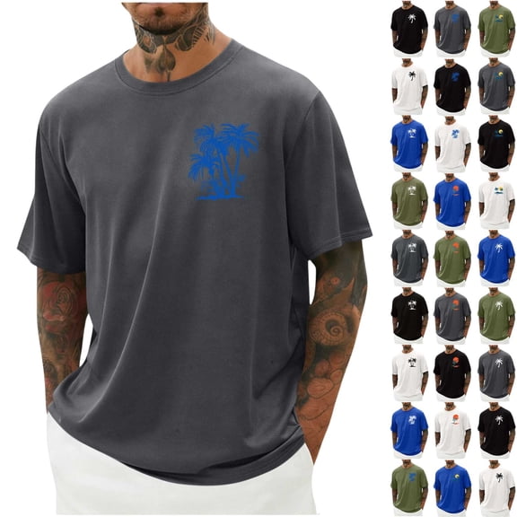 ShiShine Men's Graphic T-Shirt Casual Short Sleeve Crew Neck Summer Beach Tee Lightweight Breathable Top for Vacation Daily Wear