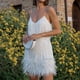 thumbnail image 5 of Mini Vestido de fiesta sin mangas con plumas de lentejuelas Fridja hj6330, 5 of 9