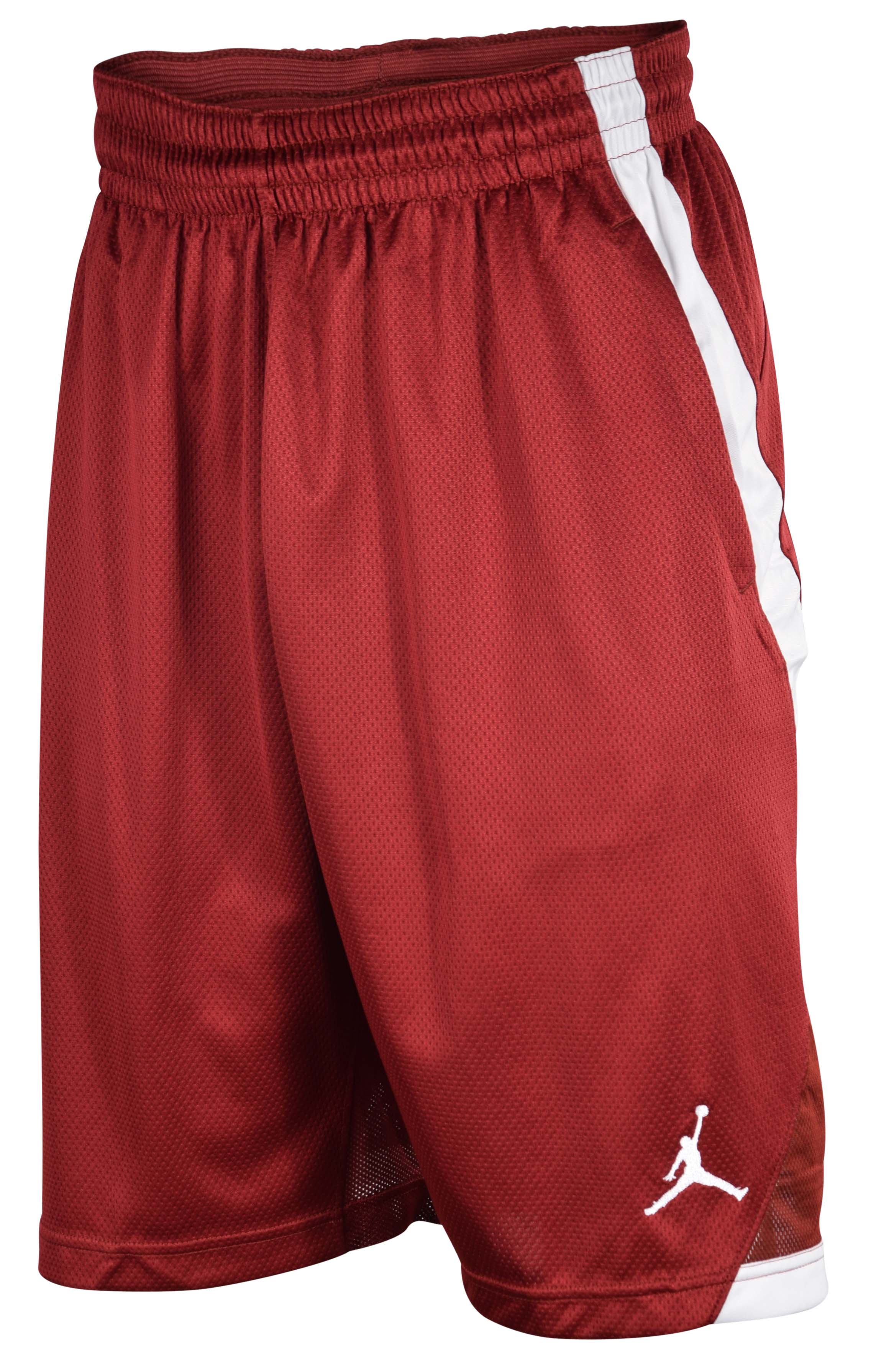 jordan team flight shorts