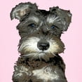 thumbnail image 3 of CafePress - Miniature Schnauzer Kids Light T Shirt - Light T-Shirt Kids XS-XL, 3 of 4
