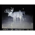thumbnail image 3 of Wildgame Innovations TR6I34W Terra 6 Game Camera, 3 of 4