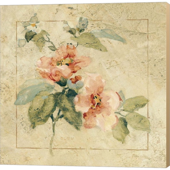 Provence Rose I by Cheri Blum, Canvas Wall Art