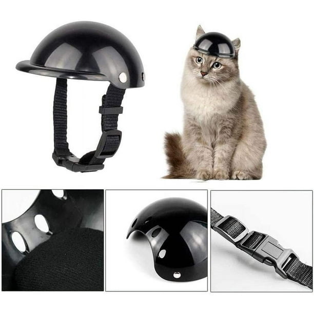 Gato con casco de moto deals