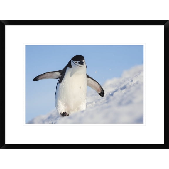 Global Gallery Hillebrand Breuker 'Running Up That Hill' Framed Wall Art