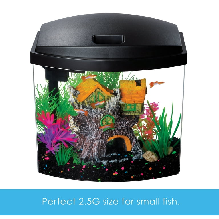 Buy Betta Accessories Online  Betta Fish Tank Supplies [Sale] - Aquarium  Kingdom