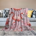 thumbnail image 2 of ARISTURING Flamingo Blanket Cute Pink Throw Blankets Soft Warm Lightweight Cozy Throws for Adult Girls Women Bed for Living Room Bedding Couch Decor, 2 of 6