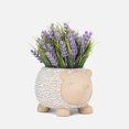 thumbnail image 2 of Linen Chest Small Hedgehog Planter, 2 of 4
