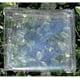 thumbnail image 2 of Lona transparente impermeable para jardín, lámina de tela con ojales y cordón resistente, aislamiento de plantas anti-UV y resistente al viento, 2 of 4