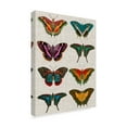 thumbnail image 2 of Trademark Fine Art 'Polychrome Butterflies II' Canvas Art by Vision Studio, 2 of 4
