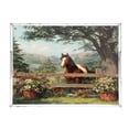 thumbnail image 2 of Acrylic Tray 15.7*11.8*1.9 Inch Transparent Tray Food Tray Tea Cup Tray Serving Trays Cosmetics Storage Kitchen Table Bathroom Sundry Storage Lovely Horse, 2 of 7