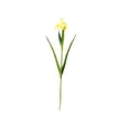 thumbnail image 4 of MLINS Lifelike Artificial Iris Flower in Yellow Color for Wedding Decoration Home Use Made of Ecofriendly PU Material 1Pc, 4 of 8