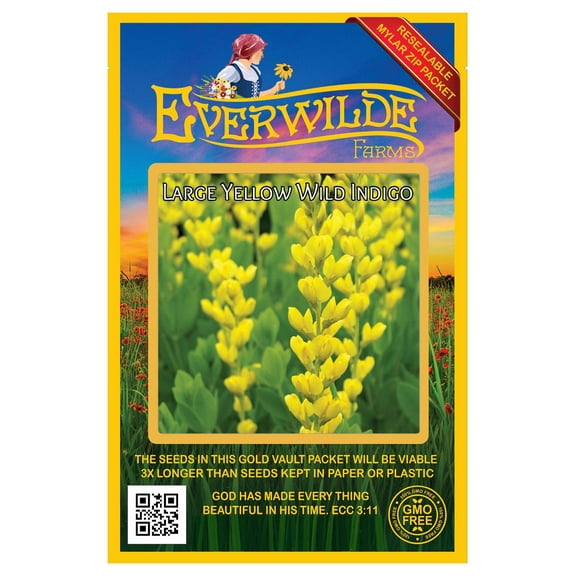 Everwilde Farms - 10 Large Yellow Wild Indigo Native Wildflower Seeds - Gold Vault Seed Packet