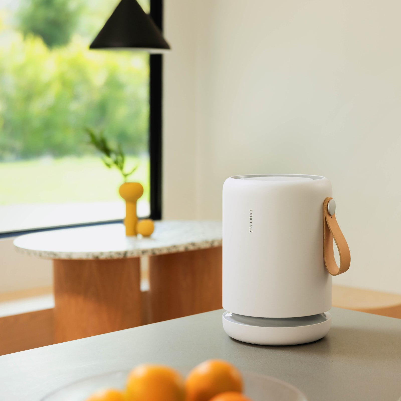 Molekule Air Mini Air Purifier for the Home and Small Rooms up