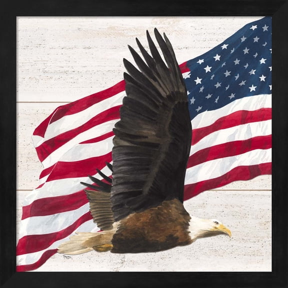 Great Art Now Let Freedom Soar V by Tara Reed, Framed Wall Art, 13.25W x 13.25H