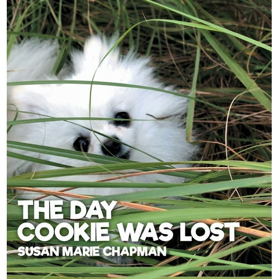The Day Cookie Was Lost, (Hardcover)