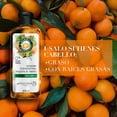 thumbnail image 3 of Shampoo Herbal Essences Frescura Mandarina, Jengibre & Menta 400 ml, 3 of 5