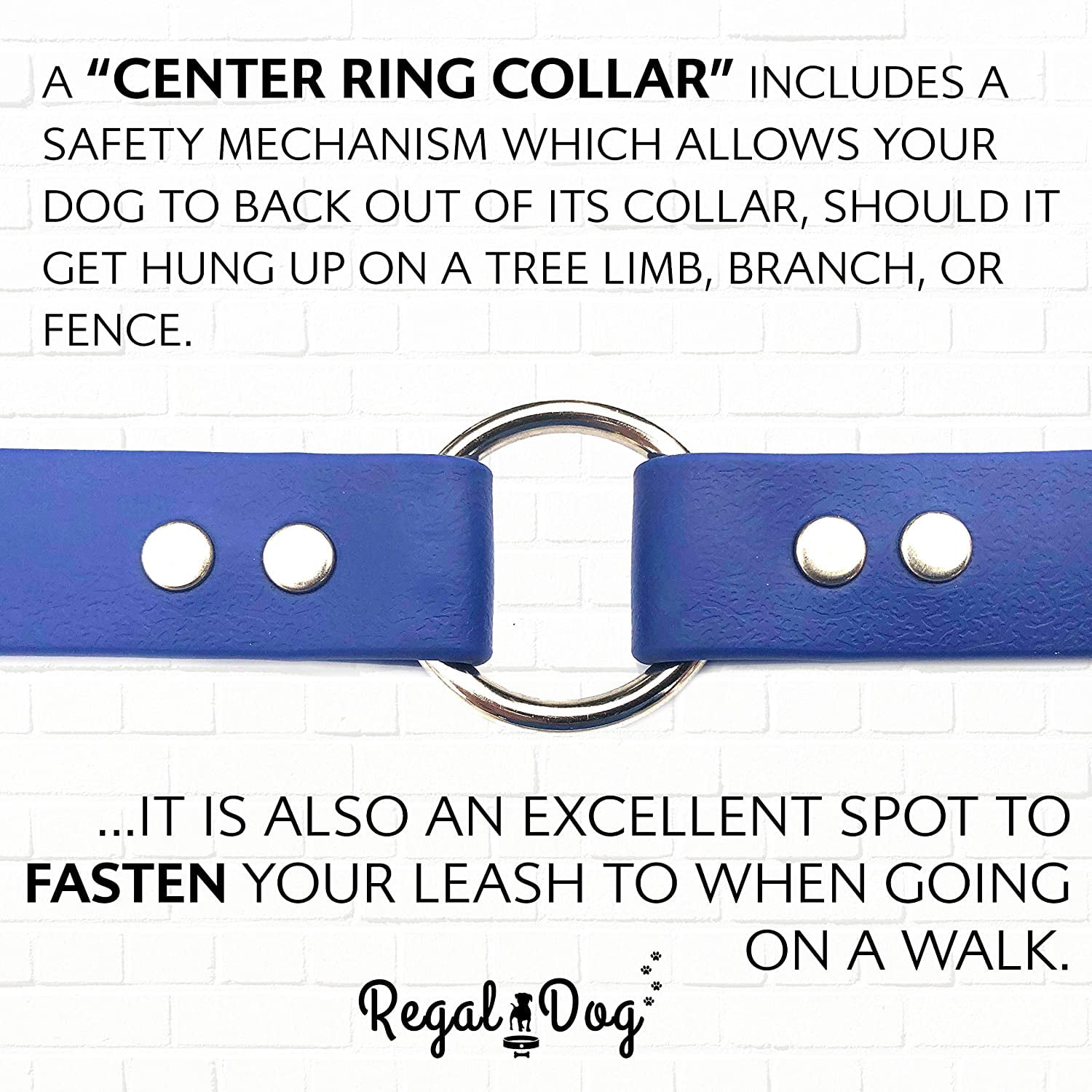 Regal Dog Products Waterproof Collar Heavy Duty Center Ring with D ring