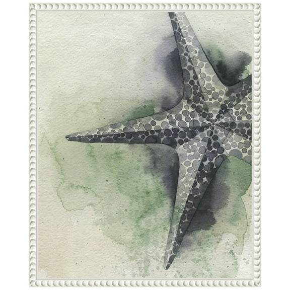 Amanti Art Found Starfish II Framed Canvas Wall Art Print