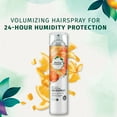 thumbnail image 3 of Herbal Essences Body Envy Volumizing Hairspray with Citrus Essences, 8 oz, 3 of 9