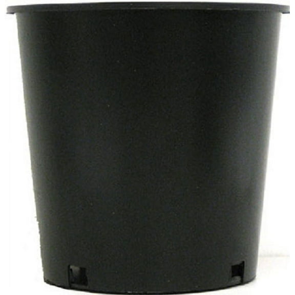 The Islander Group 2-Gallon Black Plastic Garden Pot with Drainage Holes