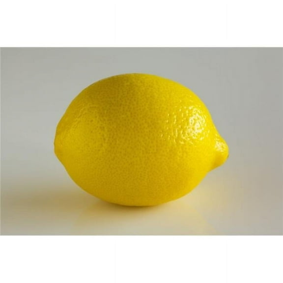Lemon Poster Print by Steven Raniszewski - 20 x 13