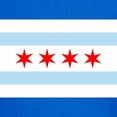 thumbnail image 3 of CafePress - Chicago Flag T Shirt - Dark T-Shirt Kids XS-XL, 3 of 4