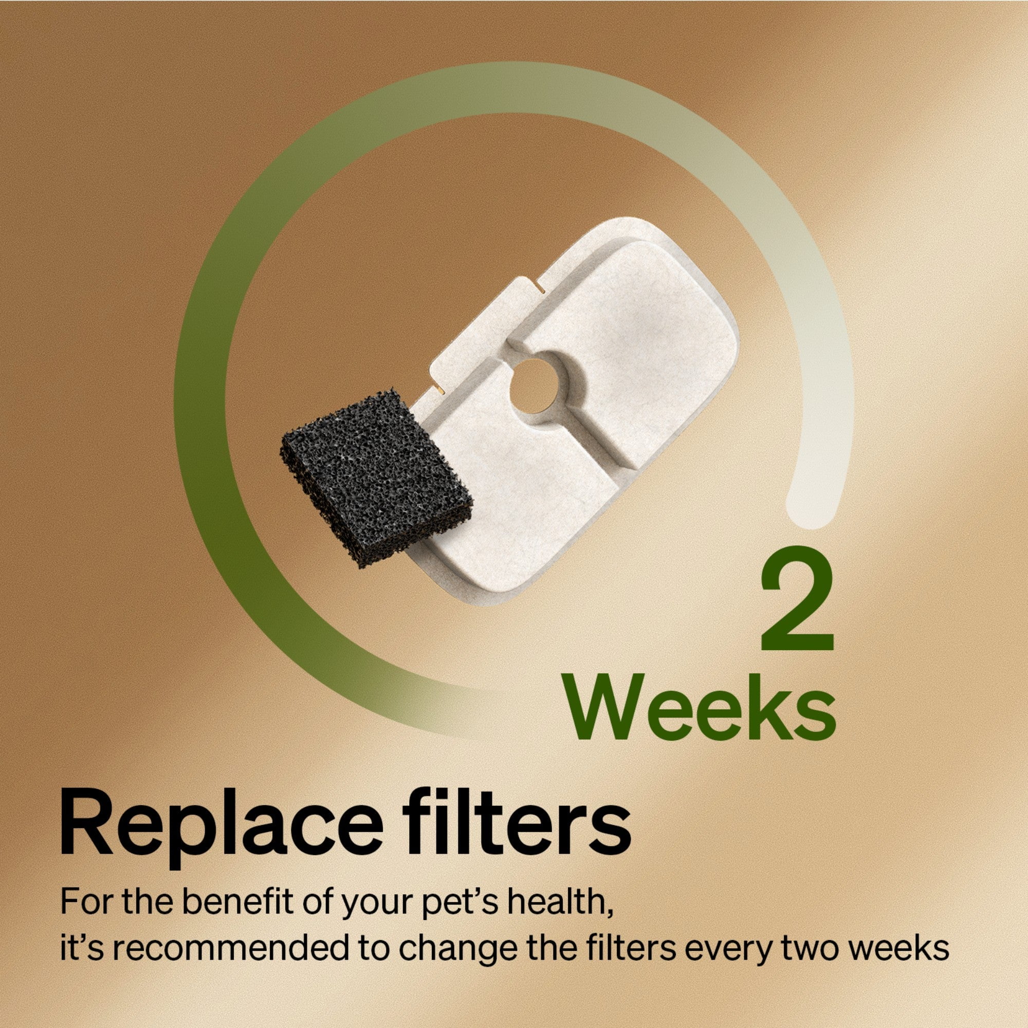 Petlibro Replacement Filters for Dockstream & Dockstream 2 Cat Water Fountains, Compatible with PLWF105/PLWF115/WF106/WF116, 8-Pack White Filters, 4-Month Supply for Ultra Quiet Pet Water Fountain