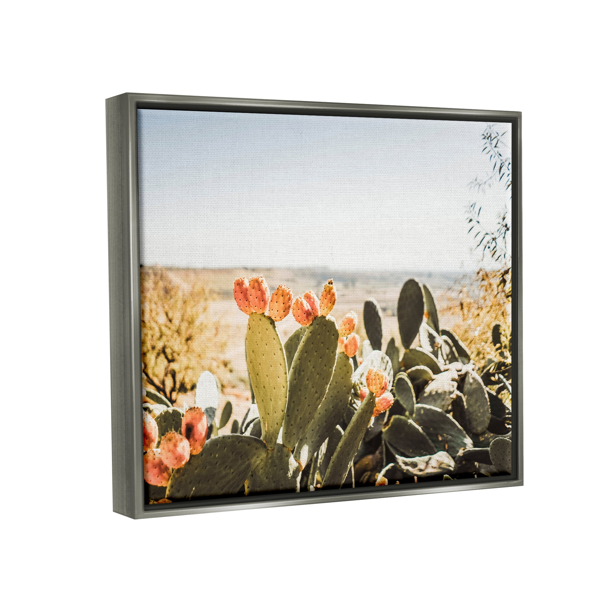 Stupell Sunlit Prickly Pear Cactus Photography Landscape Photography Gray Floater Framed Art Print Wall Art