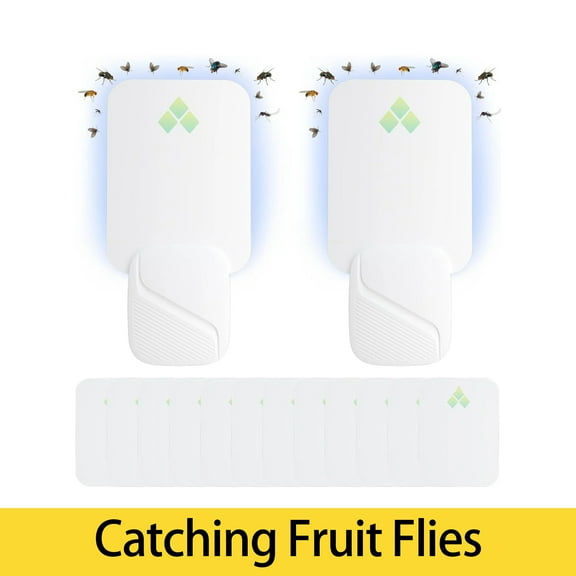Gaway Fruit Fly Traps for Indoors, Plug-in Fly Trap for Flies, Fruit Flies, Moths, Gnats, and Other Flying Insects, Bug Lights, 2 Device   12 Glue Cards, 400 Sq Ft of Protection