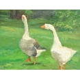 thumbnail image 2 of Stevens, Allayn 18x15 Black Ornate Wood Framed with Double Matting Museum Art Print Titled - Geese Stroll, 2 of 4