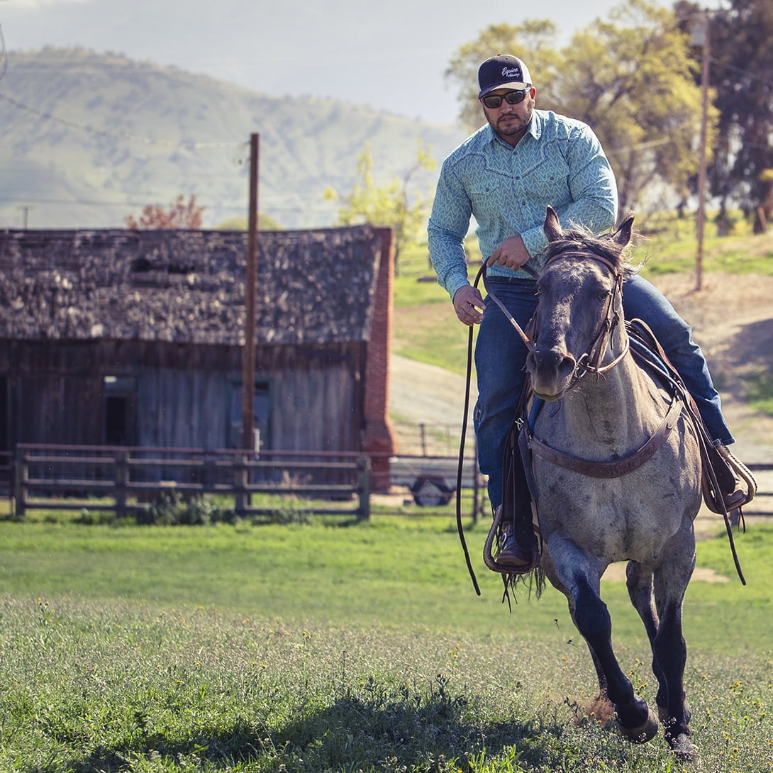 Equine Advantage All Life Stages Low Starch Horse Feed