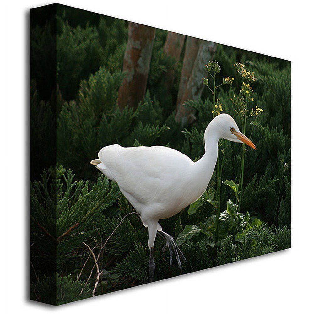 Trademark Fine Art "Egret" Canvas Art by Patty Tuggle
