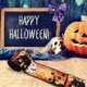 thumbnail image 2 of Placeres De Halloween: Cinta De Poliéster Con Adornos De Calabazas Y Arañas. Ideal Para Adornos De Fiesta. Genial Para Manualidades Diy. Bonito Para Decorar Bolsas De Golosinas., 2 of 4