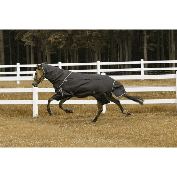 TuffRider All Seasons Blanket 69 Black