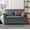 GY, variant on 46 Inch Velvet Sleeper Sofa, Pull Out Convertible Twin Size Couch with Adjustable Backrest, Sturdy Metal Frame & Movable Arm Cushion