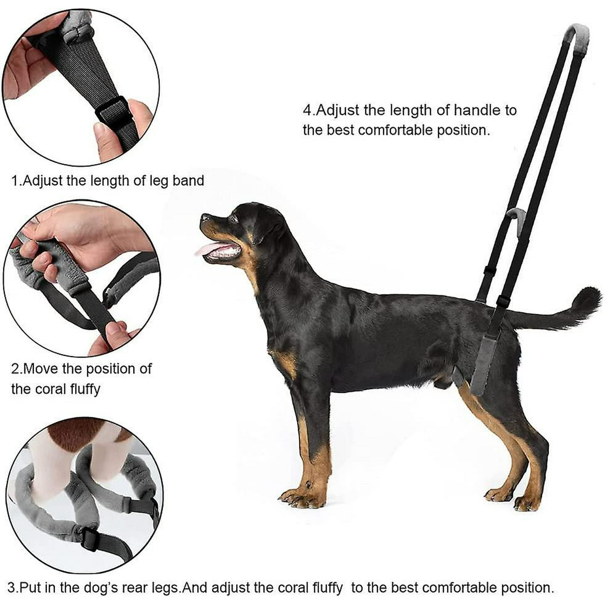 Best harness for 3 legged dog hot sale