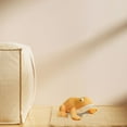 thumbnail image 4 of Frog Stuffed Toy Soft Animal For Kids 3+ Cuddly Nursery & Snuggly Birthday, 4 of 7