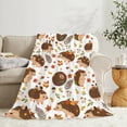 thumbnail image 4 of Yibo Cute Hedgehog Blanket Flannel Soft and Comfortable Anti-static Bed Sofa Blanket, 4 of 9