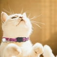 thumbnail image 6 of Sparkling Sequin Adjustable Cat Collar with Breakaway Clasp for Secure Comfortable Fit, 6 of 8