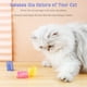 thumbnail image 5 of 12 piezas de juguetes de resortes coloridos para gatos, juguetes creativos para gatos para gatitos, juguetes interactivos de plástico pesado duraderos sin BPA oso de fresa  Hogar, 5 of 5
