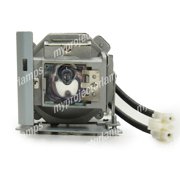 Vivitek D519 Projector Lamp with Module