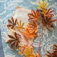 thumbnail image 4 of Autumn Color Maple Leaf Stem, 4 of 10