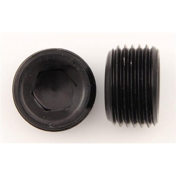 XRP-Xtreme Racing Products XRP993204BB 0.375 in. Male Pipe Plug, Black - Pack of 2