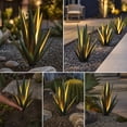thumbnail image 5 of Solar Lights Outdoor Waterproof, 1.8ft Metal Artificial Agave Plant Solar Garden Lights, for Pathway Walkway Yard Lawn Decorative Landscape Lighting, Warm White (Green), 5 of 8