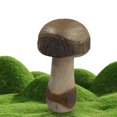 thumbnail image 4 of Adorno Setas Moderno (G 19 Cm), 4 of 9